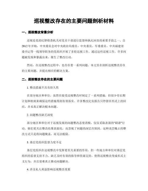 巡视整改存在的主要问题剖析材料