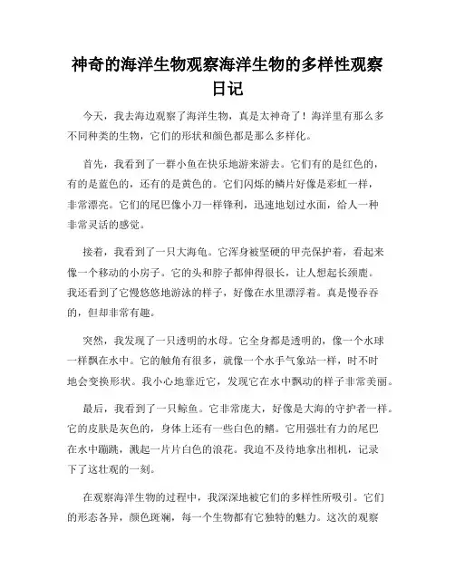  小学三年级作文神奇的海洋生物观察海洋生物的多样性观察日记