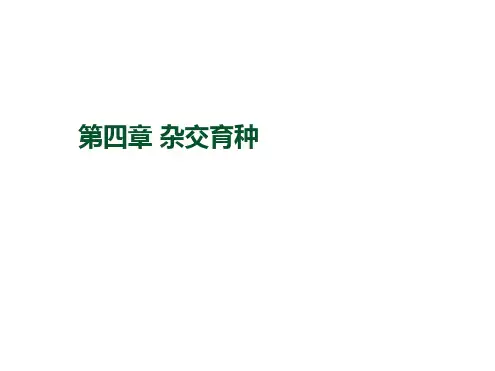 完整版小麦杂交育种