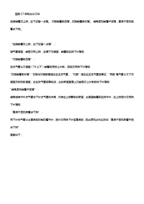 胸部CT肺段划分口诀