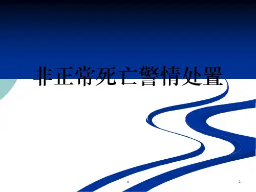 非正常死亡警情处PPT