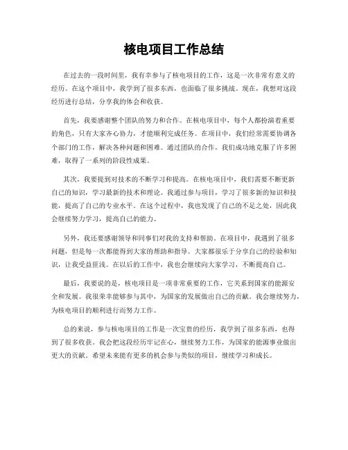 核电项目工作总结