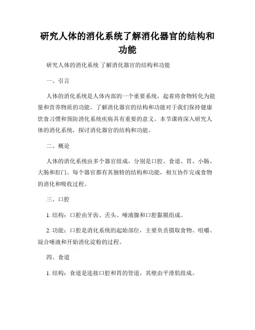 研究人体的消化系统了解消化器官的结构和功能