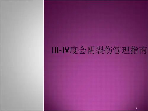 IIIIV度会阴裂伤管理指南PowerPoint演示文稿
