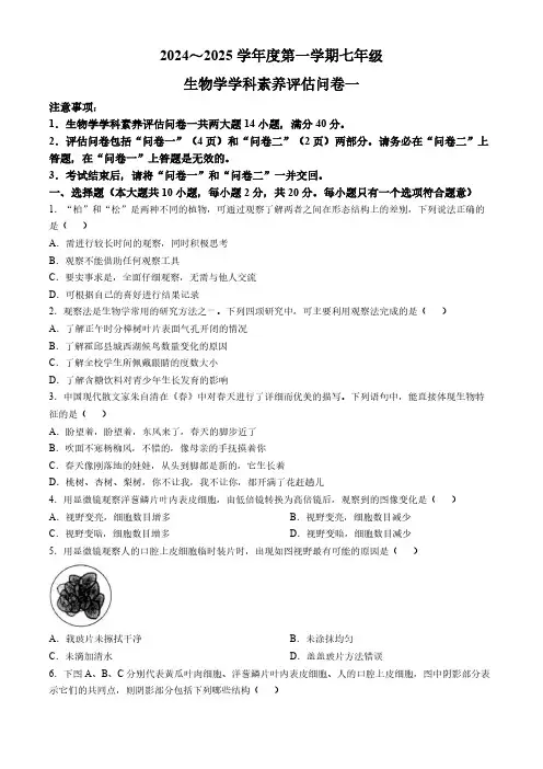 安徽省六安市霍邱县2024-2025学年七年级上学期期中生物学试题(含答案)