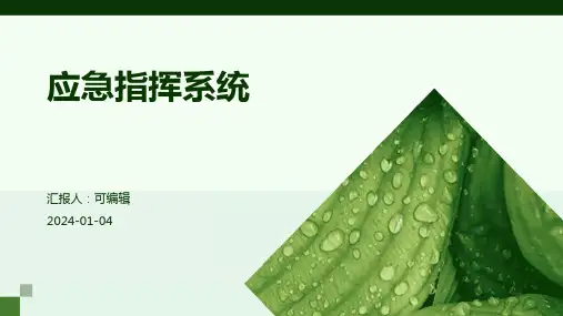 应急指挥系统