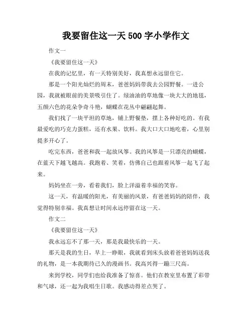 我要留住这一天500字小学作文