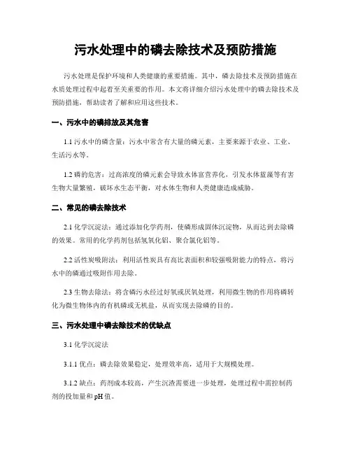污水处理中的磷去除技术及预防措施
