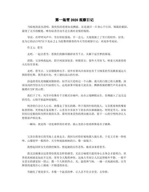 第一场雪2020观察日记