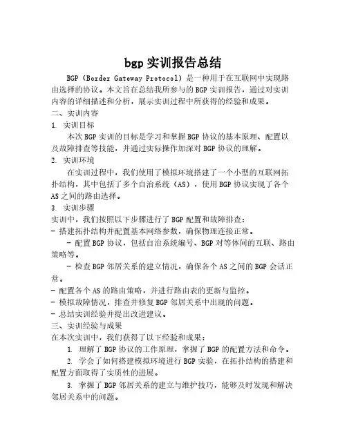 bgp实训报告总结