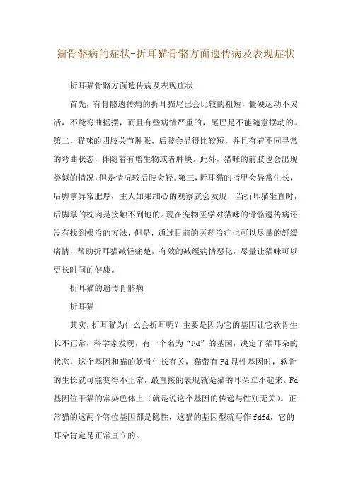 猫骨骼病的症状-折耳猫骨骼方面遗传病及表现症状