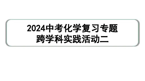 2024中考化学复习专题 跨学科实践活动二  (课件)