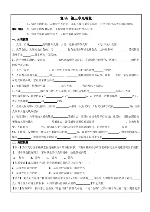 《第三章光现象》复习学案-苏科版物理八年级上册