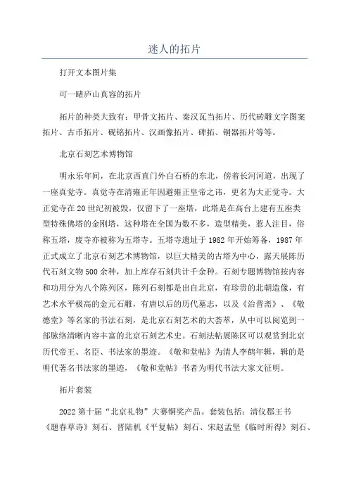 迷人的拓片