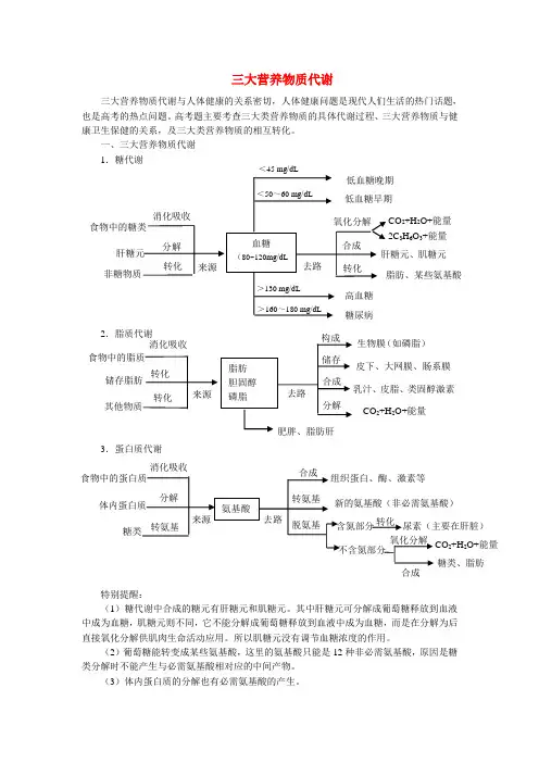 高中生物论文三大营养物质代谢 知识梳理