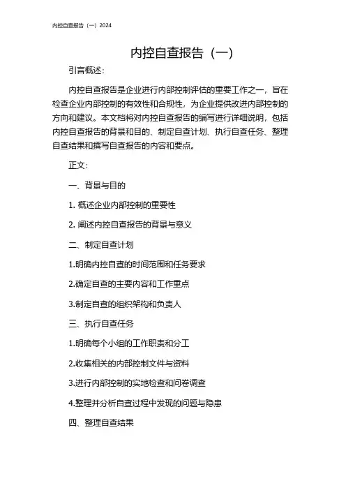 内控自查报告(一)2024