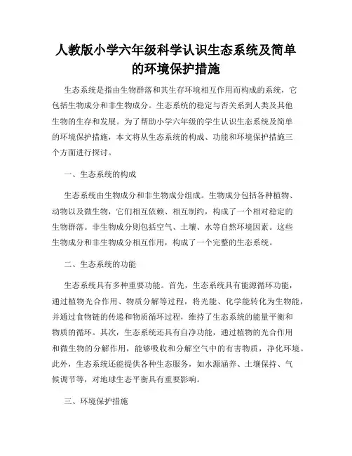 人教版小学六年级科学认识生态系统及简单的环境保护措施