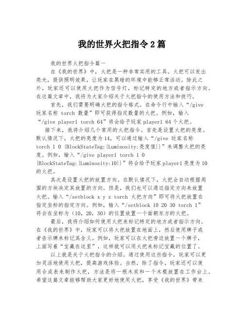 我的世界火把指令