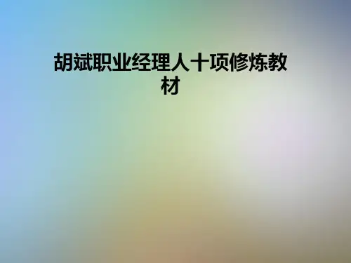 胡斌职业经理人十项修炼教材