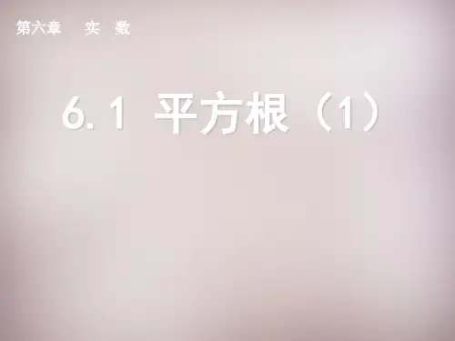 第4套人教初中数学七下 6.1 平方根课件1 【经典初中数学课件 】