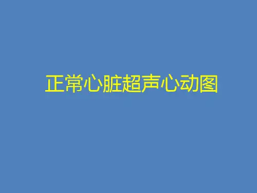正常心脏超声心动图