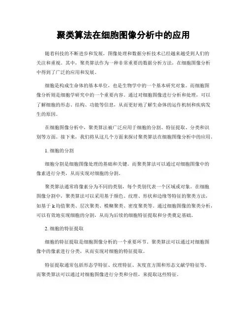 聚类算法在细胞图像分析中的应用