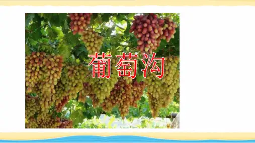 小学语文部编版人教版二年级上册《葡萄沟》精品课件