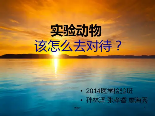 实验动物伦理PPT课件
