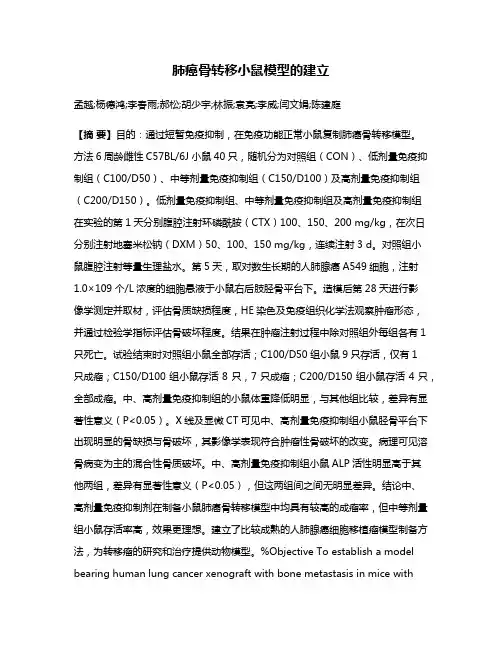 肺癌骨转移小鼠模型的建立