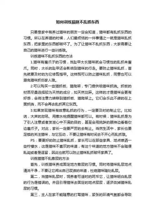 如何训练猫咪不乱抓东西