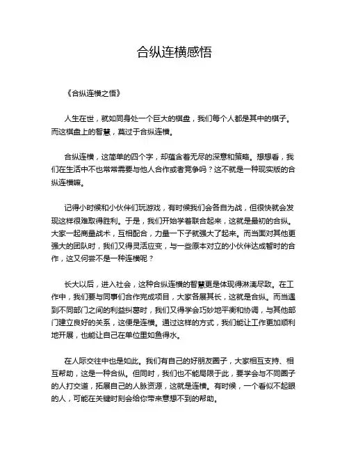 合纵连横感悟
