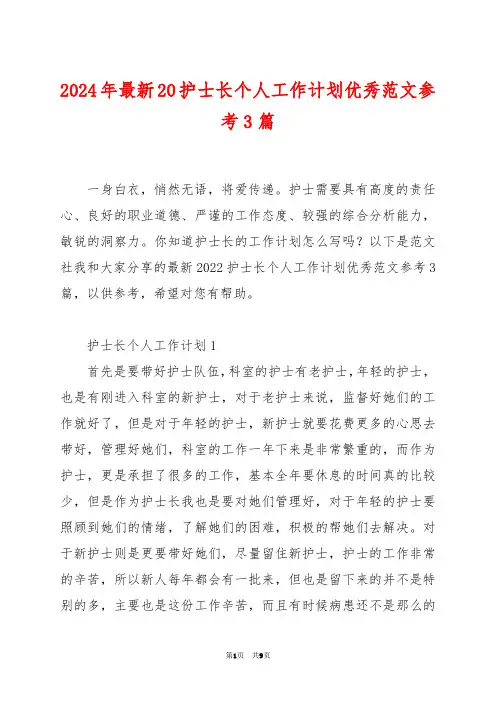 2024年最新20护士长个人工作计划优秀范文参考3篇