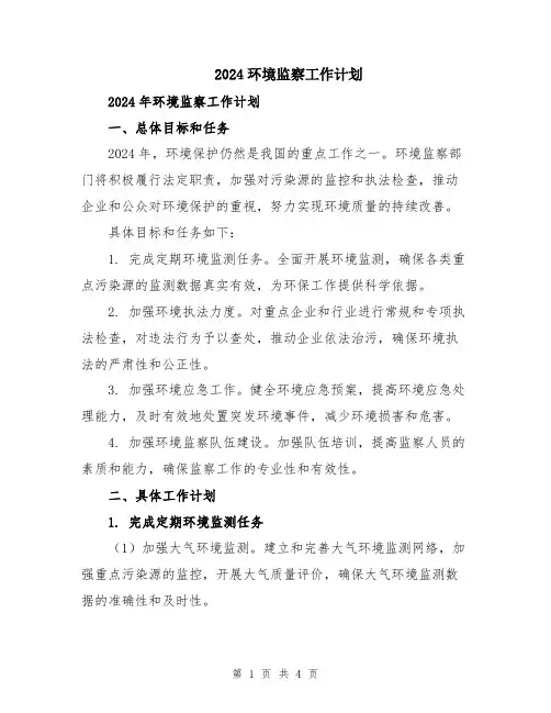 2024环境监察工作计划