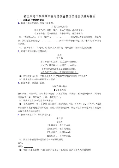 初三中考下学期期末复习诗歌鉴赏语文综合试题附答案