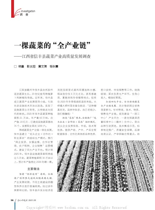 一棵蔬菜的“全产业链”——江西省信丰县蔬菜产业高质量发展调查