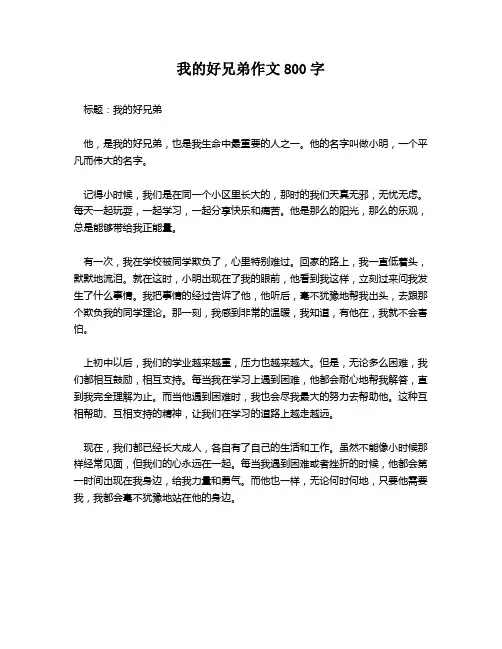 我的好兄弟作文800字
