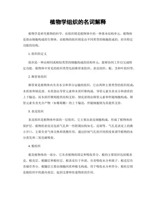 植物学组织的名词解释