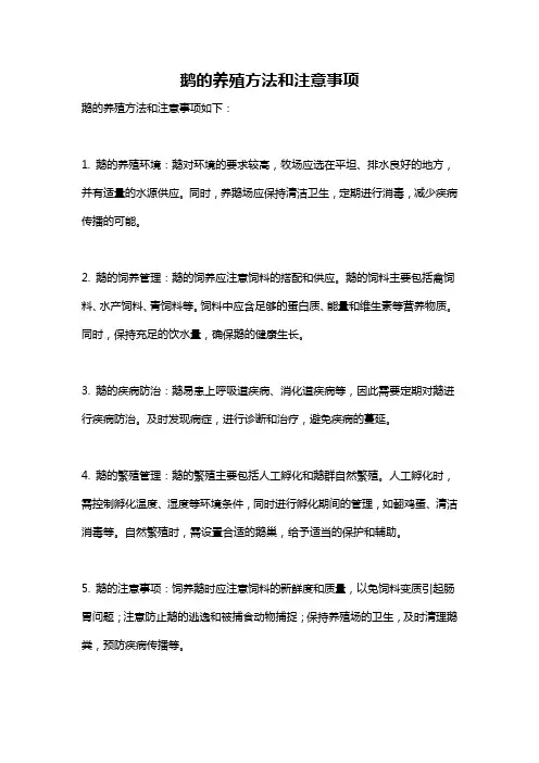 鹅的养殖方法和注意事项
