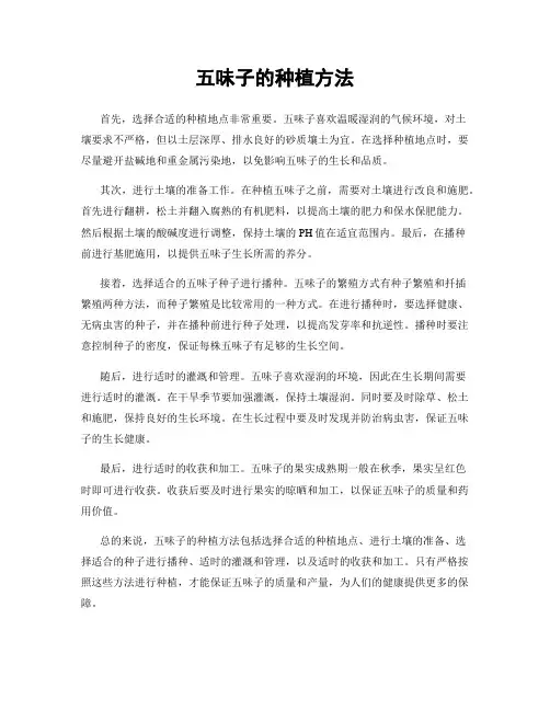 五味子的种植方法