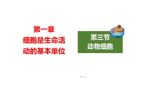 《动物细胞》PPT精品课件