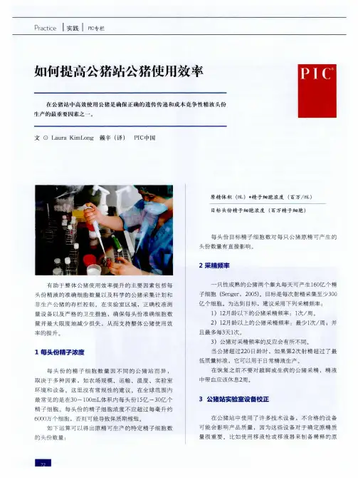 如何提高公猪站公猪使用效率