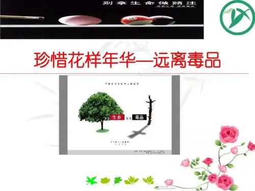 中小学幼儿园精品优质校园安全教育公开课班会队会讲座课件 32珍爱生命  远离毒品(二等奖)