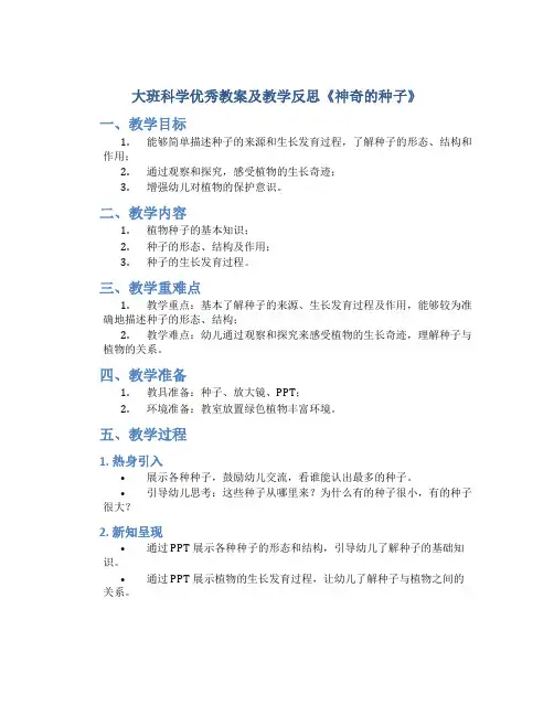 大班科学优秀教案及教学反思《神奇的种子》