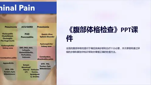 《腹部体格检查》课件