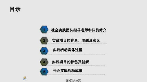 社会实践团队答辩模板PPT课件