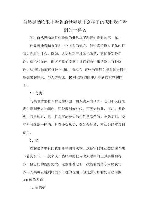 自然界动物眼中看到的世界是什么样子的呢 和我们看到的一样么
