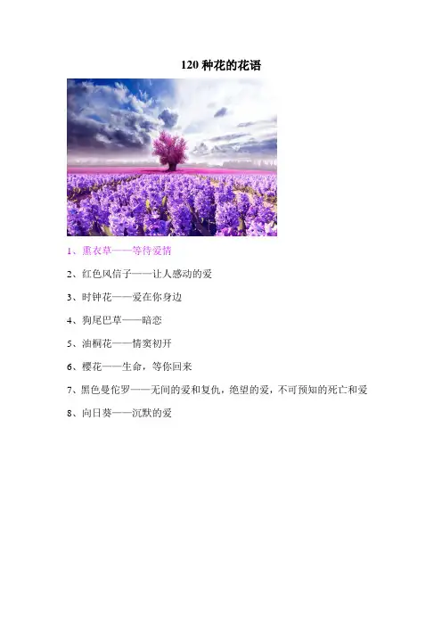 120种花的花语