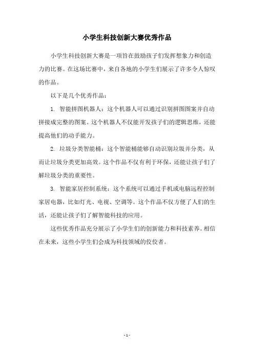 小学生科技创新大赛优秀作品