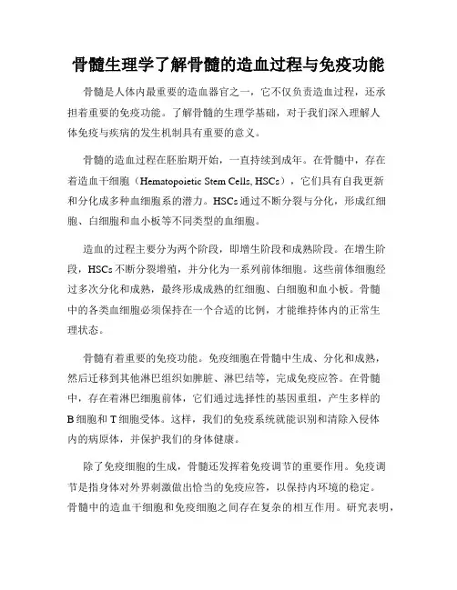 骨髓生理学了解骨髓的造血过程与免疫功能