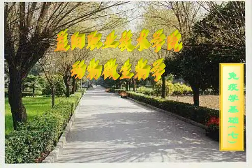 免疫学应用
